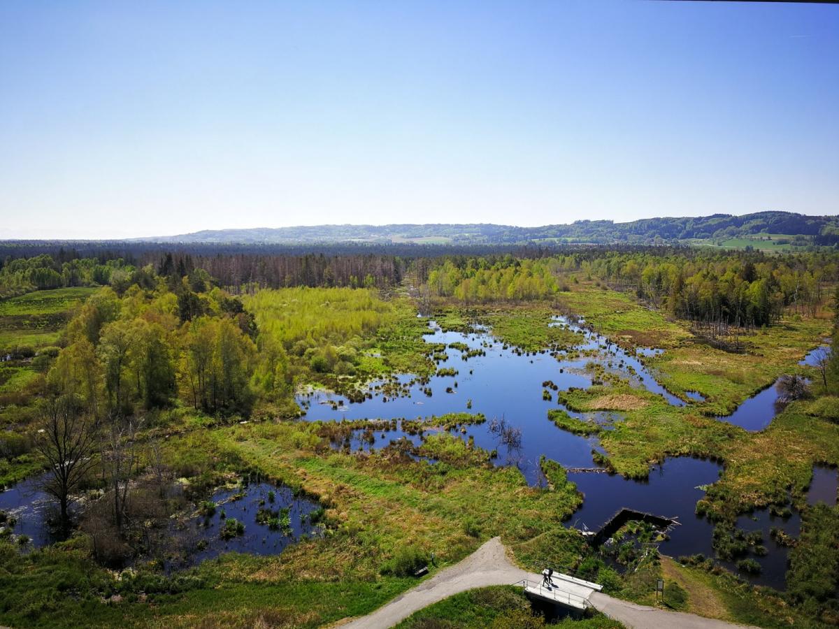 Pfrunger-Burgweiler Ried